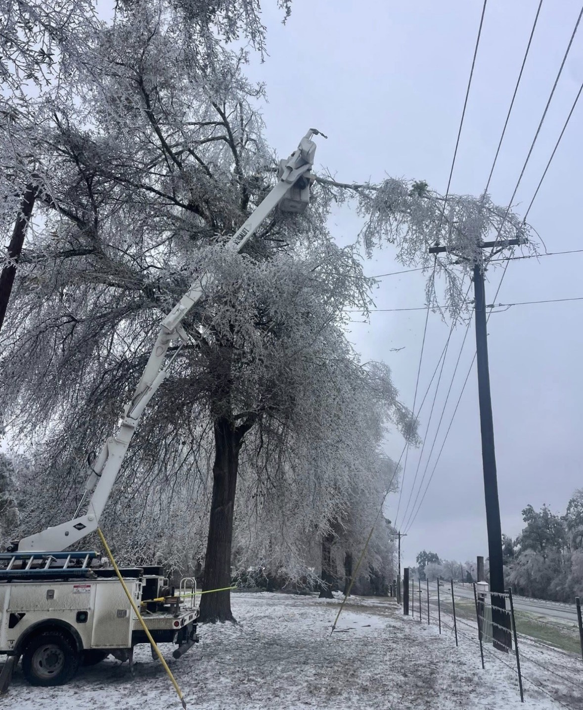 Winter Storm Recovery
